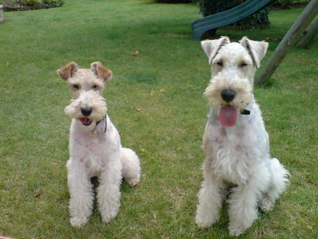 Philippe DEBLOIS, 65 ans (JAUX, LONGUEIL ANNEL) Copains d'avant